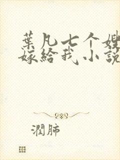 叶凡七个嫂子要嫁给我小说