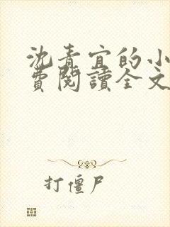 沈青宜的小说免费阅读全文