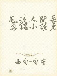 风流人间采薇陆勇铭小说免费阅读封面