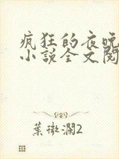 疯狂的夜晚苏柔小说全文阅读