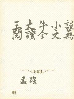 王大牛小说免费阅读全文无弹窗封面