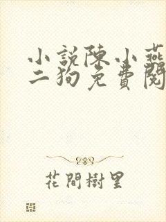 小说陈小燕,牛二狗免费阅读