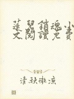莲儿销魂小说全文阅读免费无弹窗