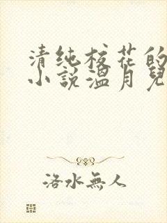 清纯校花的日常小说温月儿小说