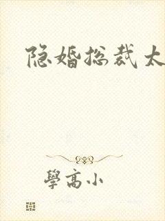 隐婚总裁太腹黑