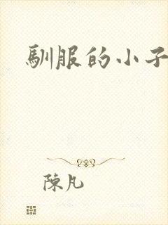 驯服的小子4