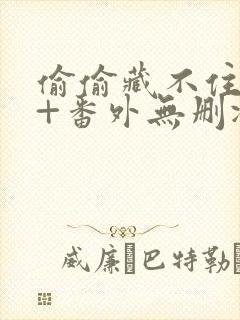 偷偷藏不住全文+番外无删减