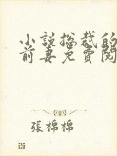小说总裁的天价前妻免费阅读