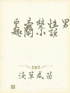 皇帝双性男男笔趣阁小说