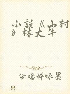小说《山村情事》林大牛封面