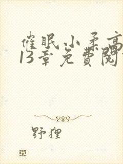 催眠小柔高达第13章免费阅读封面