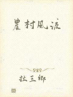 农村风流