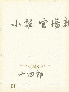 小说 官场新贵