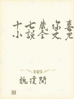 十七岁你喜欢谁小说全文免费阅读封面
