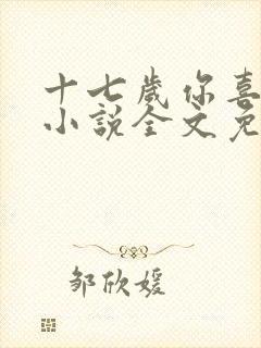 十七岁你喜欢谁小说全文免费阅读