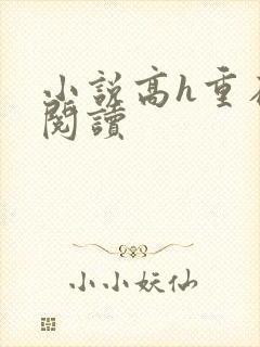 小说高h重在线阅读