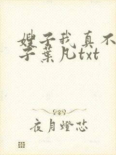 嫂子我真不是傻子叶凡txt