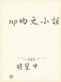 np肉文小说封面