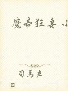 魔帝狂妻 小说