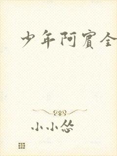 少年阿宾全集封面