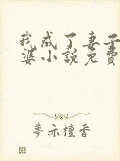 我成了妻子的老婆小说免费阅读全文封面