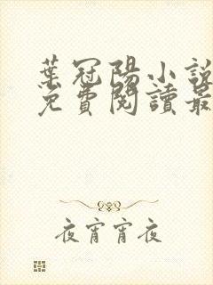 叶冠阳小说全文免费阅读最新章节