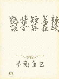 艳情短篇辣文小说合集在线阅读