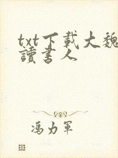txt下载大魏读书人封面