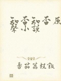 知否知否原著有声小说