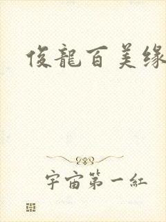 俊龙百美缘小说