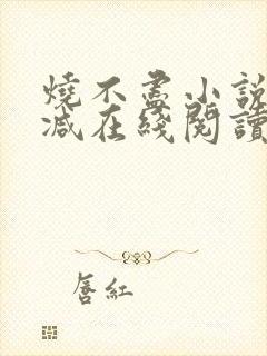烧不尽小说无删减在线阅读