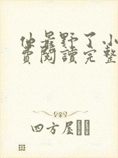他最野了小说免费阅读完整版