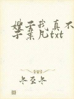 嫂子我真不是傻子叶凡txt封面