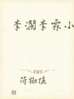 李澜李霖小说