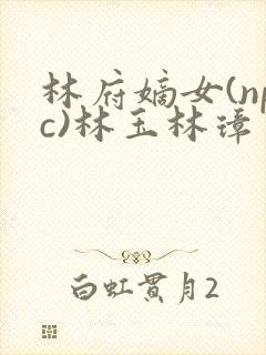 林府嫡女(npc)林玉林璋