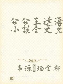 公公王达海芷晴小说全文免费阅读