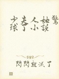 少夫人她惊艳全球了小说