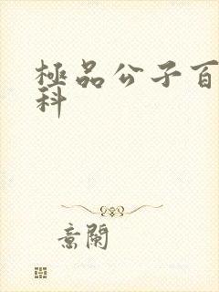 极品公子百度百科