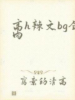 高h辣文bg全肉