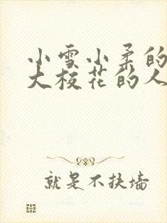 小雪小柔的两个大校花的人物介绍