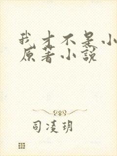 我才不是小可怜原著小说