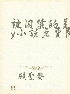被囚禁的美人by小说免费阅读封面