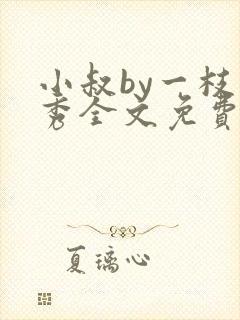 小叔by一枝独秀全文免费阅读笔趣阁最封面