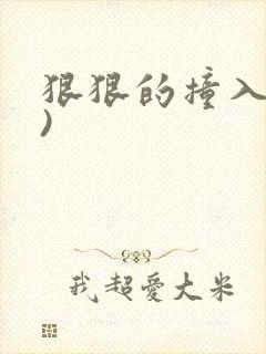 狠狠的撞入(h)