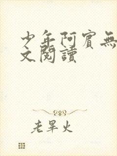 少年阿宾无删全文阅读