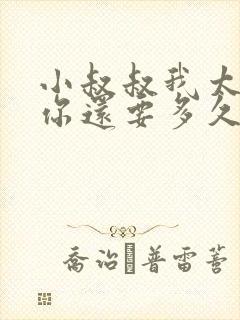 小叔叔我太累了你还要多久封面