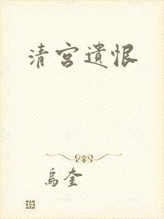 清宫遗恨封面