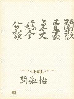 公媳免费阅读小说全文尽欢年代