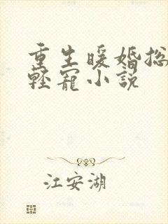 重生暖婚总裁轻轻宠小说