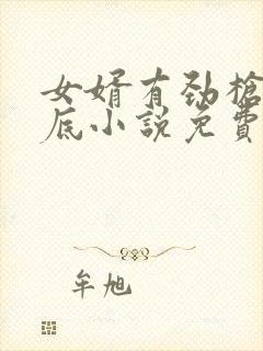 女婿有劲枪枪到底小说免费阅读封面